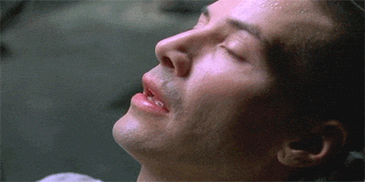 Neo: I know kung fu